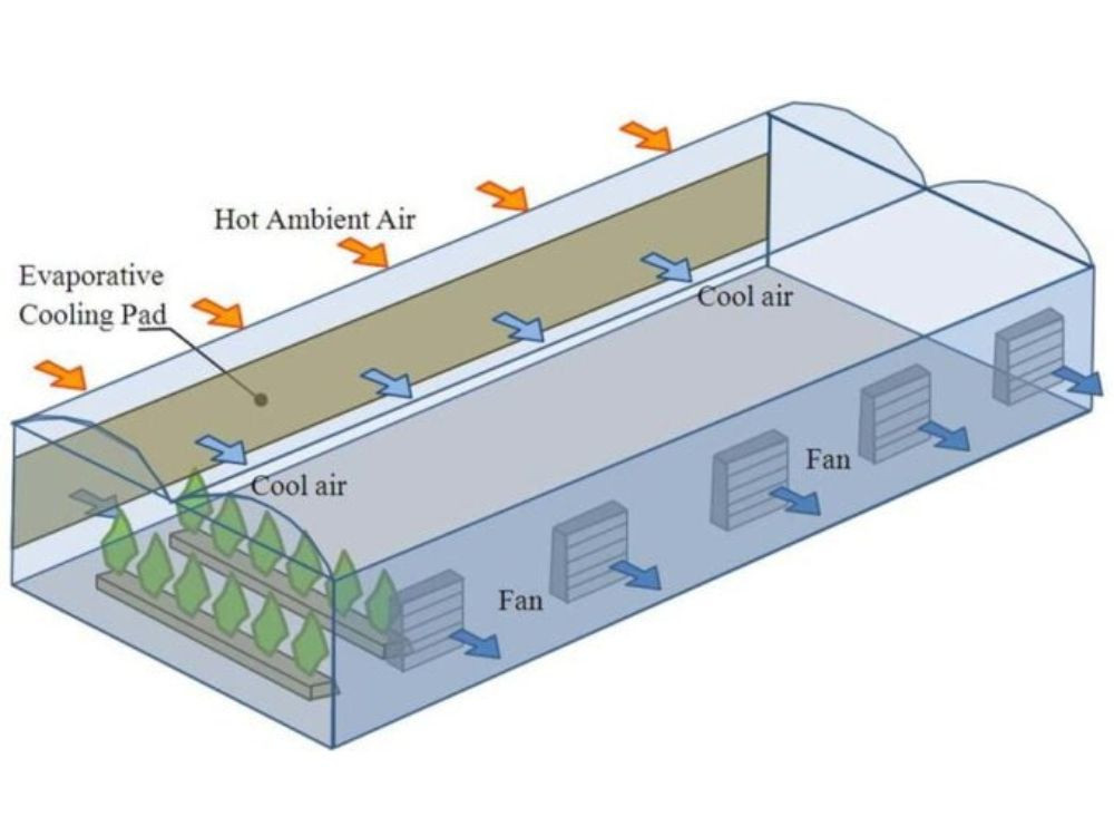 Hệ thống Cooling Pad áp suất âm