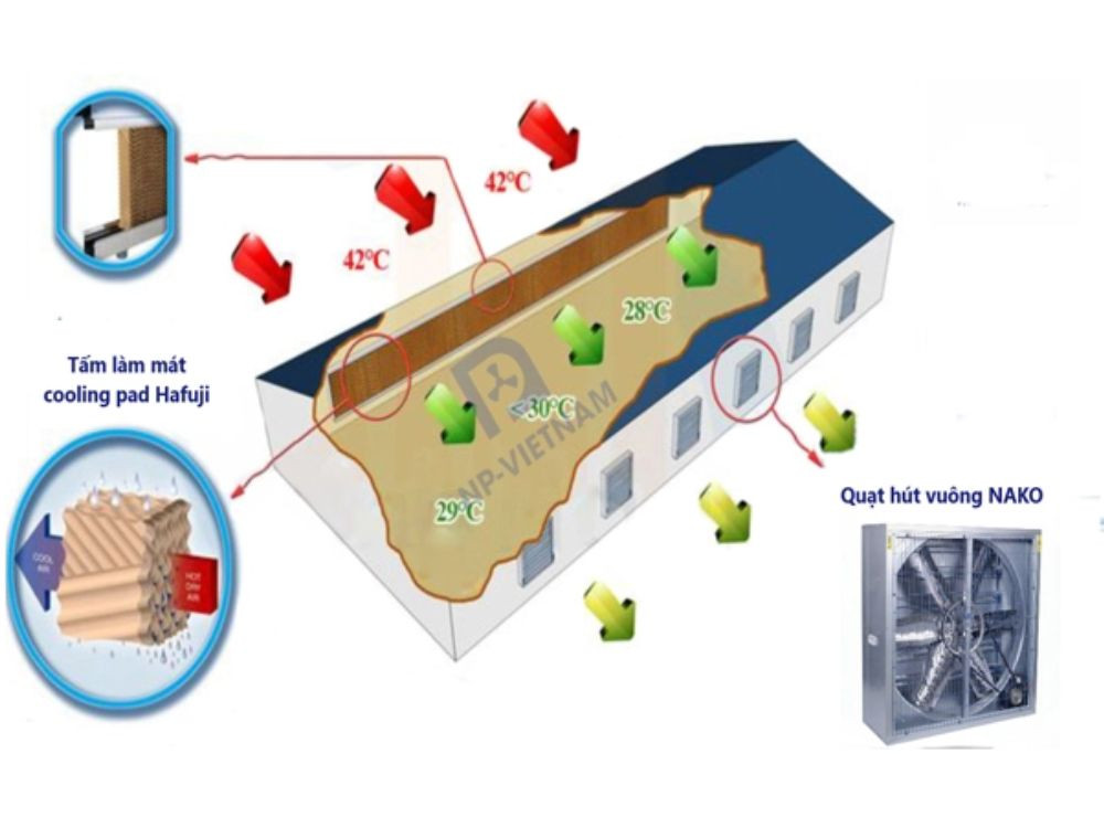 Cấu tạo hệ thống làm mát nhà xưởng cooling pad