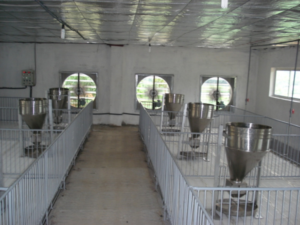 Hệ thống thông gió chuồng trại